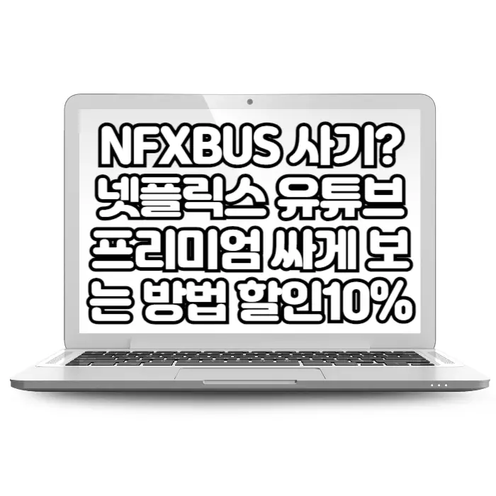 NFXBUS 사기 넷플릭스 유튜브프리미엄 싸게 보는 방법 네픽스버스 할인10%코드 강추